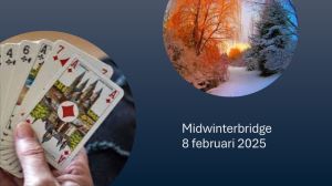 Midwinterbridge